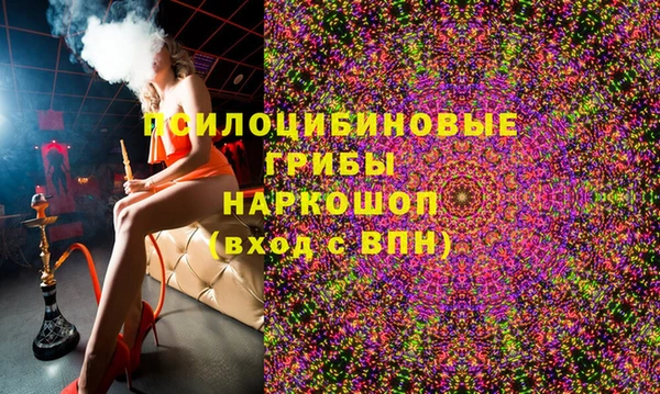эйфоретик Аркадак