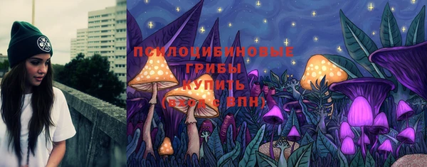 эйфоретик Аркадак